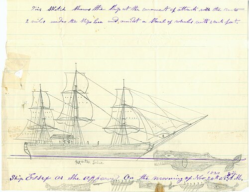 Essex (whaleship)